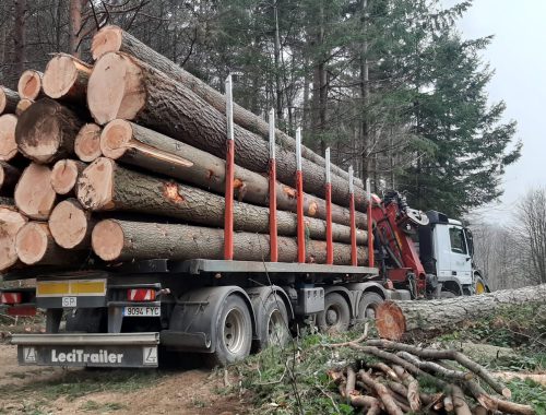 Imagen-de-WhatsApp-2025-05-06-a-las-10.45.50_08a9ae6d