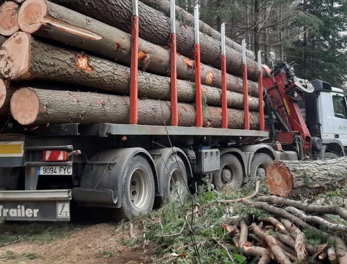 flota propia de camiones