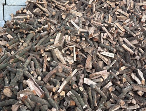 WhatsApp Image 2025-09-29 at 10.00.51