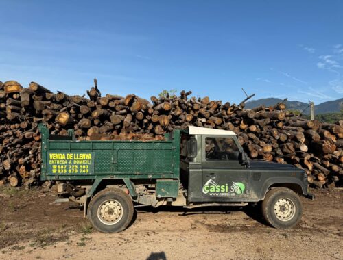 WhatsApp Image 2025-09-29 at 10.31.46